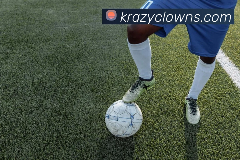 澳门威尼斯人网站平台生态图